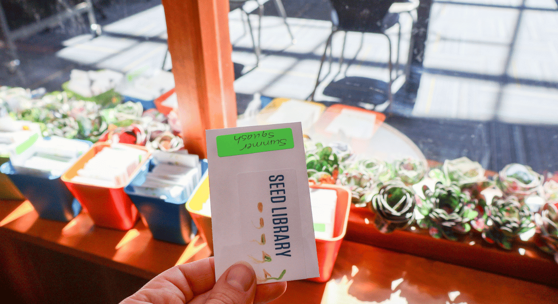 Image of hand holding a package of seeds in front of the Downtown Library Seed Library display.